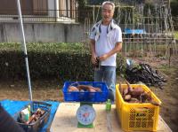 <u>2019�N11��2���|�����@��̌���</u>