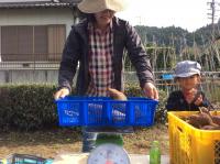 <u>2019�N11��2���|�����@��̌���</u>