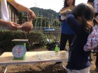 <u>2019�N11��2���|�����@��̌���</u>