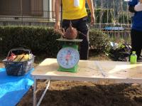 <u>2019�N11��2���|�����@��̌���</u>