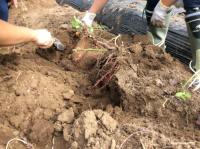 <u>2019�N11��2���|�����@��̌���</u>