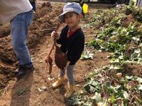 <u>2019�N11��2���|�����@��̌���</u>