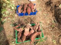 <u>2019�N11��2���|�����@��̌���</u>