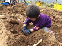 <u>2019�N11��2���|�����@��̌���</u>