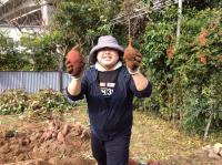 <u>2019�N11��2���|�����@��̌���</u>