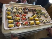 <u>����30�N8��25��</u>�@<u>�Ă̂��d���̌�</u>