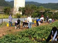 <u>2019�N11��2���|�����@��̌���</u>