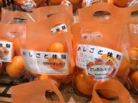 <u>����30�N11��23���|�������Ƒ̌�</u>