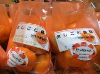 <u>����30�N11��23���|�������Ƒ̌�</u>