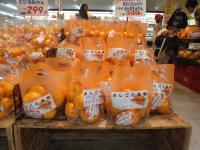 <u>����30�N11��23���|�������Ƒ̌�</u>