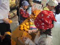 <u>����30�N11��23���|�������Ƒ̌�</u>