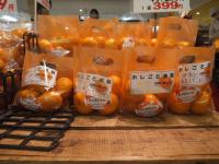 <u>����30�N11��23���|�������Ƒ̌�</u>