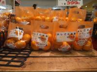 <u>����30�N11��23���|�������Ƒ̌�</u>