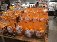 <u>����30�N11��23���|�������Ƒ̌�</u>